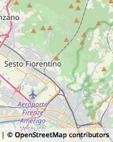 Ricerca Scientifica - Istituti,50019Firenze