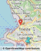 Articoli Sportivi - Dettaglio,34100Trieste