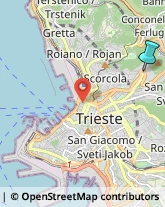 Rosticcerie e Salumerie,34127Trieste