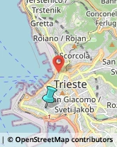 Rosticcerie e Salumerie,34143Trieste