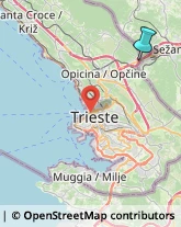 Articoli Sportivi - Dettaglio,34016Trieste