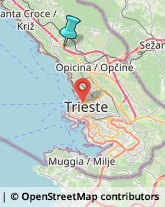 Articoli Sportivi - Dettaglio,34010Trieste