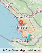 Articoli Sportivi - Dettaglio,34015Trieste