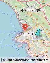 Rosticcerie e Salumerie,34139Trieste