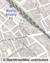 Viale Venezia, 8,21052Busto Arsizio