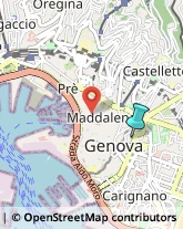 Palestre e Centri Fitness,16121Genova