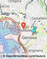 Palestre e Centri Fitness,16121Genova