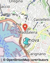 Palestre e Centri Fitness,16128Genova