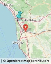 Aziende Sanitarie Locali (ASL),55049Lucca