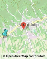 Concimi e Fertilizzanti,31010Treviso