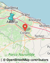 Legname da Costruzione,76123Barletta-Andria-Trani