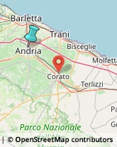 Legname da Costruzione,76123Barletta-Andria-Trani