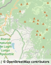 Aziende Agricole,02100Rieti