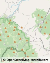 Alimentari,61040Pesaro e Urbino