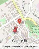 Piazza Cesare Battisti, 7,20841Carate Brianza