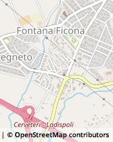 Via Settevene Palo, 10,00052Cerveteri