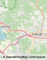 Parrucchieri,55100Lucca