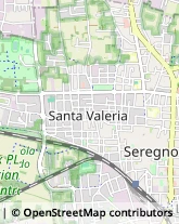 Ragionieri e Periti Commerciali - Studi,20831Monza e Brianza