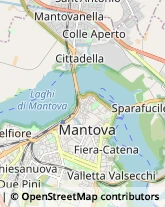 Via Pietro Torelli, 16,46100Mantova