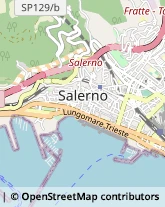 Pelletterie - Dettaglio,84122Salerno