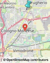 Palestre e Centri Fitness,20861Monza e Brianza