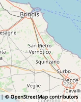 Aziende Sanitarie Locali (ASL),73019Lecce