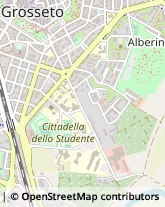 Viale delle Brigate Partigiane, 13,58100Grosseto