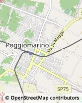 Viale Alessandro Manzoni, 154,80040Poggiomarino