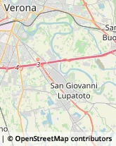 Trasporto Pubblico,37057Verona