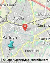 Palestre e Centri Fitness,35123Padova