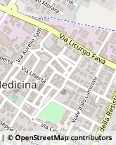 Via Cuscini, 24/28,40059Medicina