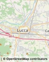 Uffici Temporanei,55100Lucca