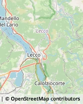 Traduttori ed Interpreti,23826Lecco