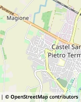 Via Scania, 1159,40024Castel San Pietro Terme