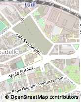 Viale Sant'Angelo, 7,26900Lodi