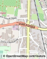 Viale Adua, 239/e,51100Pistoia