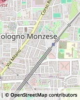 Viale Piave, 9,20093Cologno Monzese