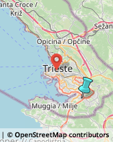 Trasporti,34018Trieste