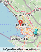 Trasporti,34018Trieste