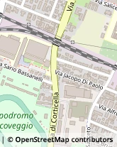 Via Sario Bassanelli, 9/11,40129Bologna