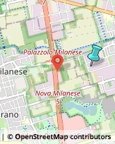 Autofficine e Centri Assistenza,20834Monza e Brianza