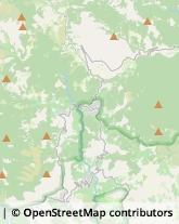 Imprese Edili,84040Salerno