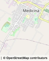 Via Argentesi, 7,40059Medicina