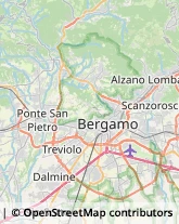 Pelletterie - Dettaglio,24011Bergamo