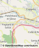 Strada Statale 17, km 31.100,67100L'Aquila