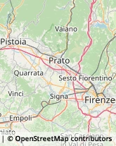 Feste - Organizzazione e Servizi,50145Firenze