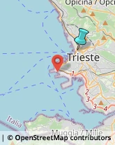 Importatori ed Esportatori,34132Trieste