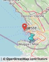 Porti e Servizi Portuali,34015Trieste