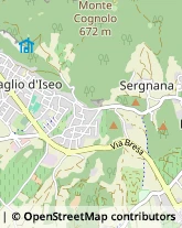 Via Alcide de Gasperi, 36,25050Provaglio d'Iseo