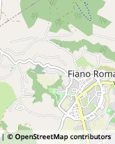 Via Aldo Moro, 103/C,00065Fiano Romano